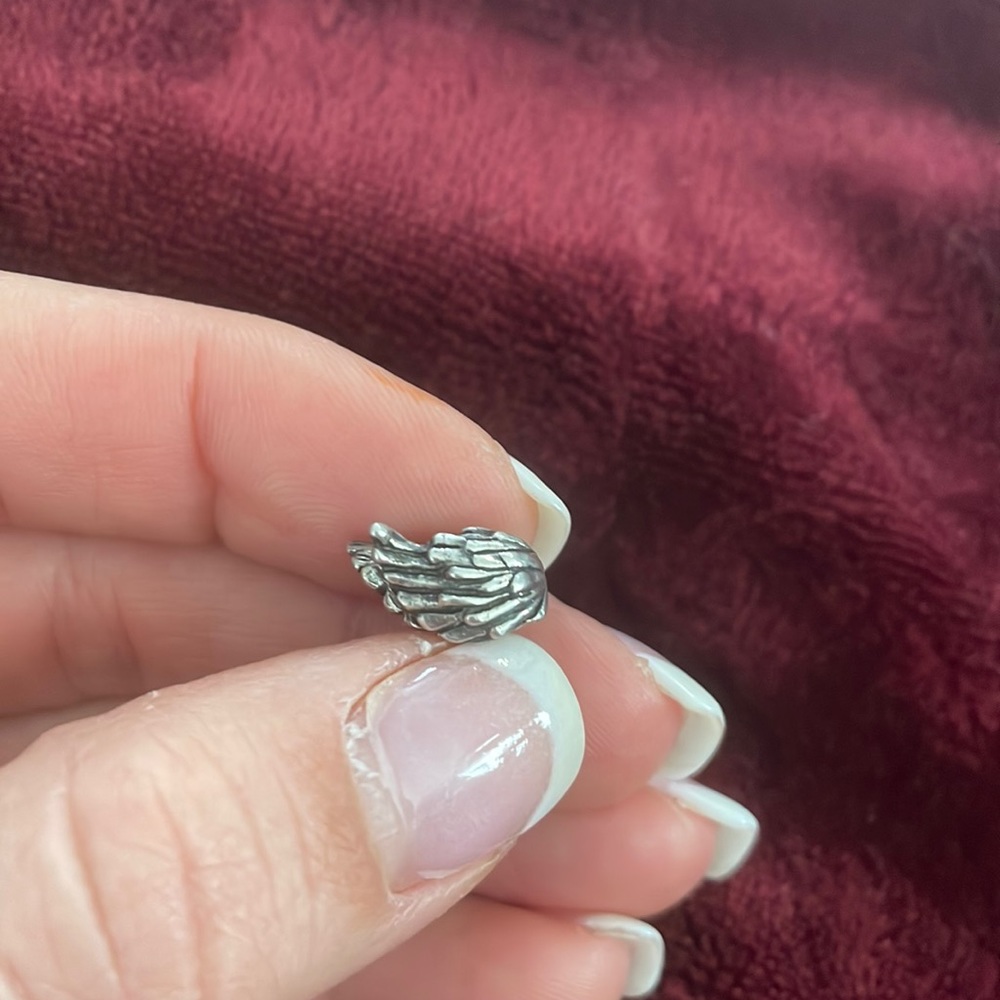 Wings charm